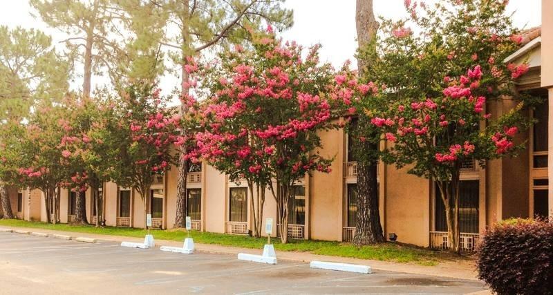 Regency Hotel & Conference Center Τζάκσον Εξωτερικό φωτογραφία